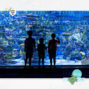 Reef Watching