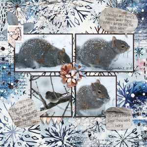 20211207 snowy squirrel and his friend