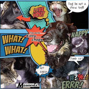 The Comic Tails of Neelix and Tuvok