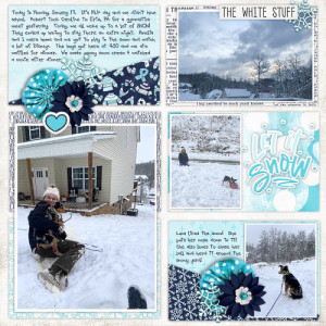 MLK Snow day