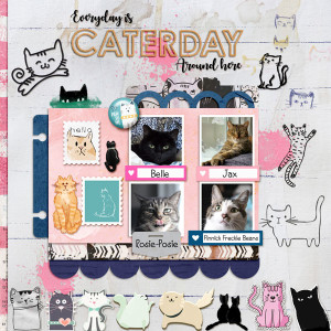 Everyday-is-Caturday