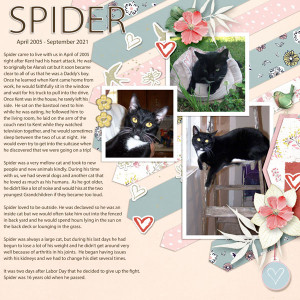 January 26_Spider-Remembrance
