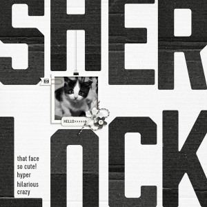 Sherlock-600