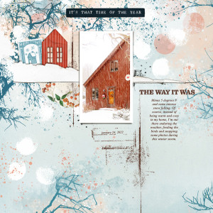 Lynn-Grieveson_2022-01-January_New_0128_Homely-TP_web