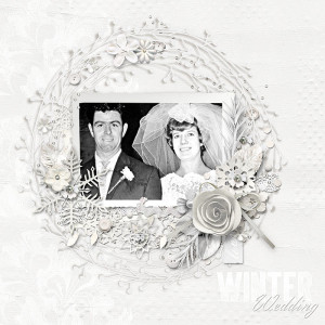 Day 18 - Winter Wedding