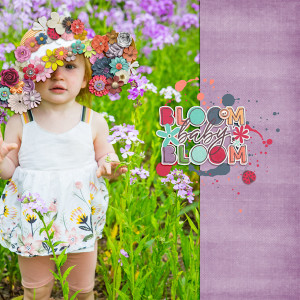 Bloom Baby