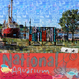 MOC10_14 National Aquarium