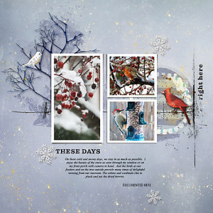 Homely_Iced_flowersgal_web