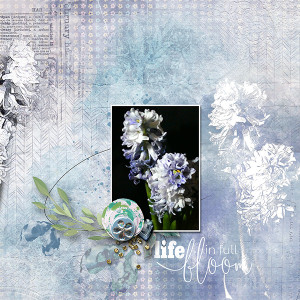 Bloom_MOC10_day29