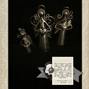 Day29_BlackBackgroundPhoto_flowersgal_web