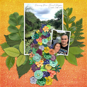 MOC10 - Jan 28: Recreate Part of a Photo with Elements - Discovery River