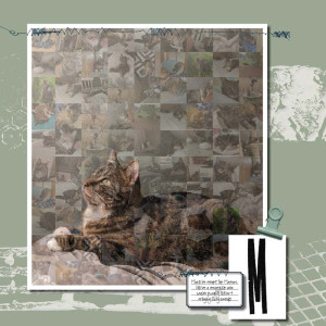 Day 14: Mosaic Photo Effect