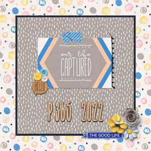 MOC30 - P365 2022 cover