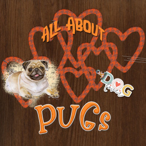 Jan30-pug-album