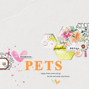 Day 30 - Pets Album Cover