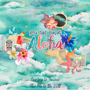 MOC10 - Jan 30: Make an Album Cover - You Had Me At Aloha