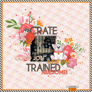 Crate Trained