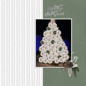 MOC10-28 Recreate a Part of Photo with Elements: White Christmas