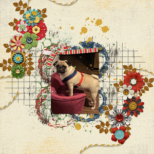 MOC10_theSameButDifferent_StopAndEnjoyTheFlowers