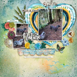 2022-02-TLP-Template-Challenge