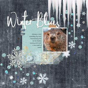 SwL_winterblues