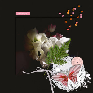 220131_amaryllis