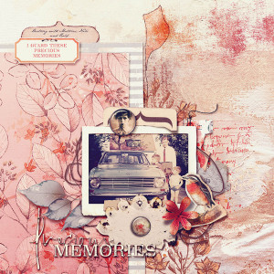 precious memories