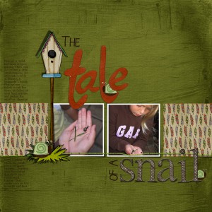 Tale of the Snail