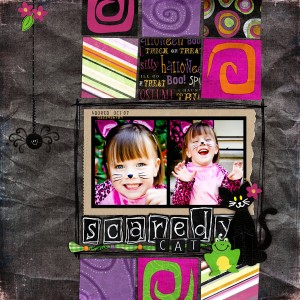 Scaredy Cat
