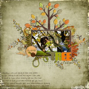 Tree climber