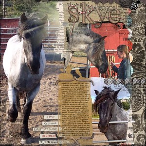 The Story of Skye