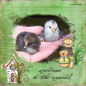 Welcome to the world