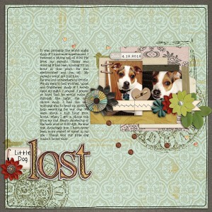 Little Dog Lost