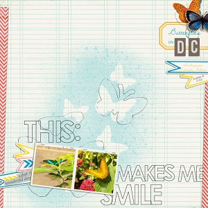 Butterflies Make Me Smile