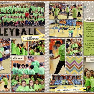 Volleyball