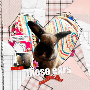 Those Ears