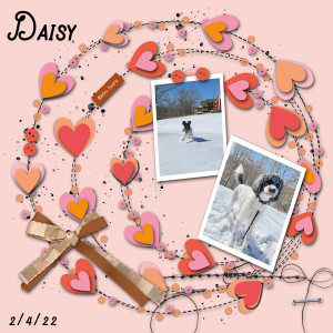 Feb-MIS-