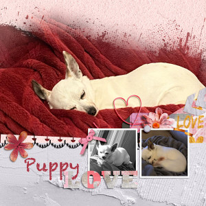 Puppy-Love