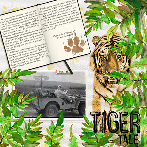 Feb22_Inspiration_Tiger
