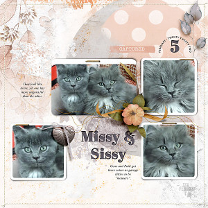 Missy & Sissy