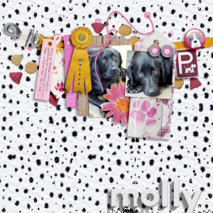Scrapping-with-Liz_2022-02_February-MIS_web