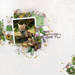 SOSN_feb9_LG_Little Fox