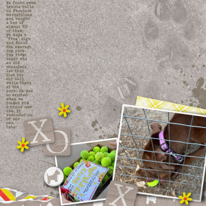 RAK for furry friends