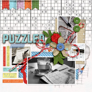 FF_feb11_KA_SwL_Puzzled