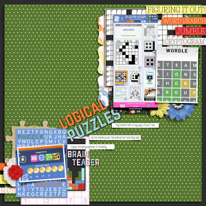 22 02 Puzzles