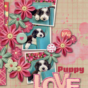 Puppy Love