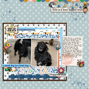 2022 01 Zeus