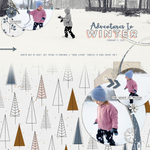 Adventures In Winter