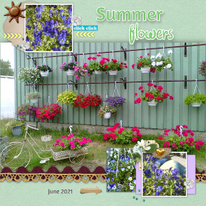 Summer Memories