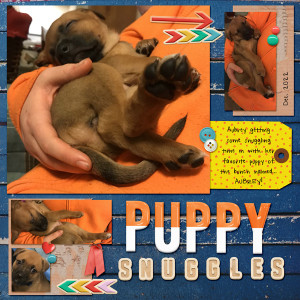 Puppy Snuggles